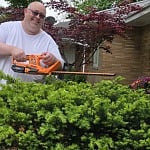 Man trimming a yew bush with the orange LawnMaster 22-Inch 24V Cordless Hedge Trimmer in front of a brick house