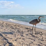 Englewood Beach in Punta Gorda Florida