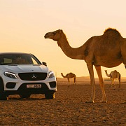 transportation guide for a dubai guys trip