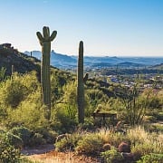 hiking in the desert - scottsdale - phoenix arizona