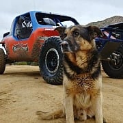 Wide Open Baja Baja Racing Experience