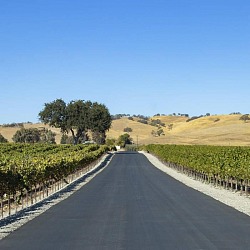 Paso Robles guys wine weekend getaway
