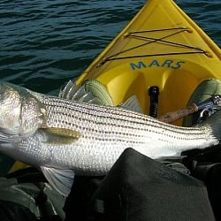 Top Bass Fishing Spots in New York State