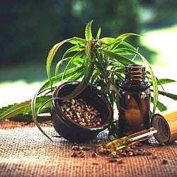 best ways to take cbd