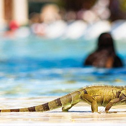 warm weather guys getaways more than just fun