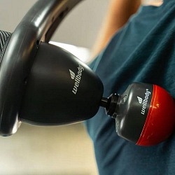 wellbody wingspan massager review