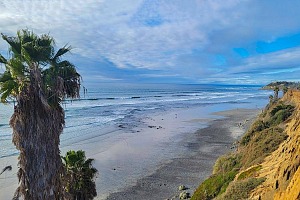 cardiff beach