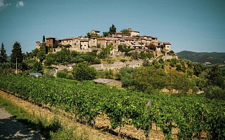 chianti tuscan guys trip