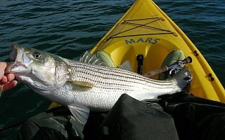 Top Bass Fishing Spots in New York State