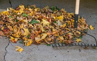 Fall Yard Preparation Strategies 