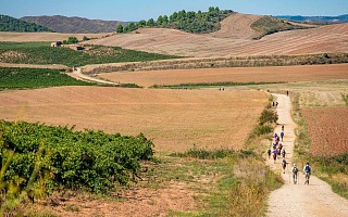 Walking the Camino de Santiago Solo