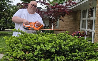 Man trimming a yew bush with the orange LawnMaster 22-Inch 24V Cordless Hedge Trimmer in front of a brick house