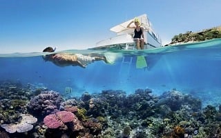 Snorkeling in the Great Barrier Reef