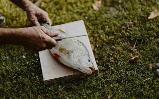 Ultimate UK Fishing Guide For Your Next Guys Trip