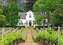 exploring the wines of south africa
