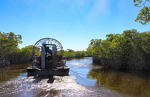 Wooten's Everglades airboat tours