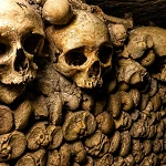 Wall of skulls and stacked bones in the Paris Catacombs ossuary