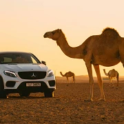 transportation guide for a dubai guys trip