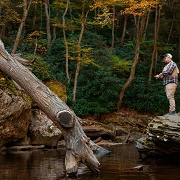 fishing in 