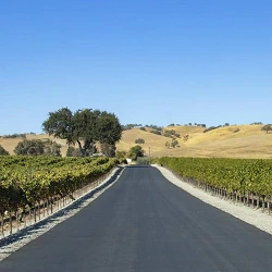 Paso Robles guys wine weekend getaway