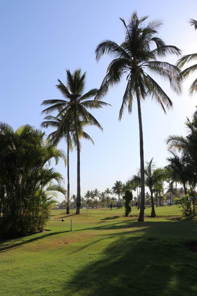 Puerto Vallarta All-Inclusive Golf Resort, Casa Velas Photo Gallery