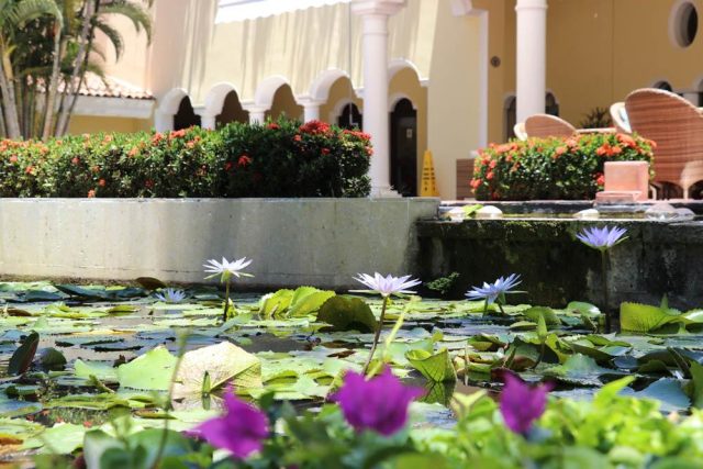 Puerto Vallarta All-Inclusive Golf Resort, Casa Velas Photo Gallery