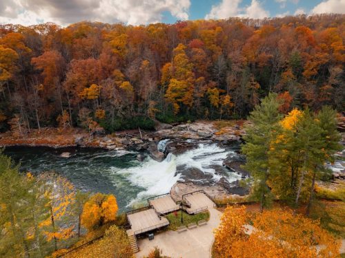 Fall in the Laurel Highlands