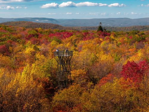 Fall in the Laurel Highlands