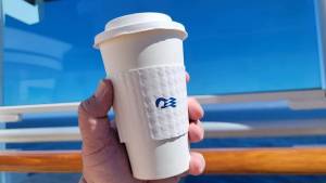 photo from a Mexican Riviera Cruise on Majestic Princess - Princess Cruises