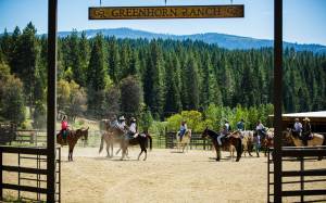 Greenhorn_Ranch_sign_and_horses_original