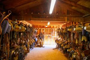 Saddles_stables_original