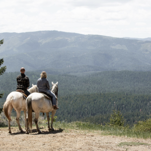 Trail_ride_lookout_original