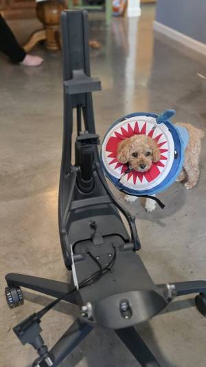 20251013_125521_original