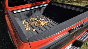 20251001_142655_original